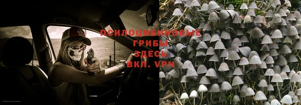 гашик Карталы