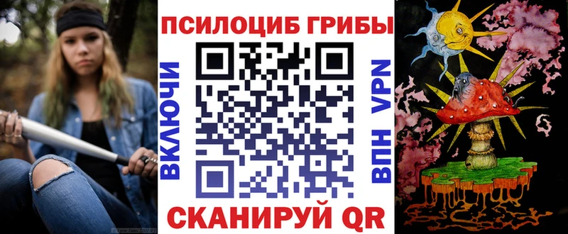 Псилоцибиновые грибы ЛСД  Купить где  Буинск 