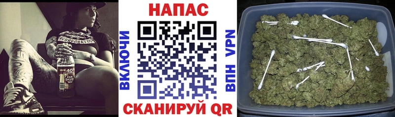 Купить где  Буинск  Бошки марихуана SATIVA & INDICA 